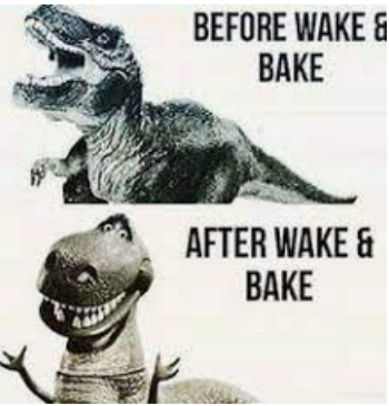 wake and bake meme 5