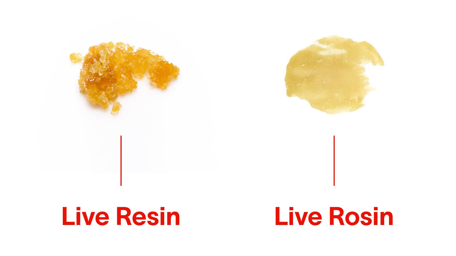 live resin vs live rosin